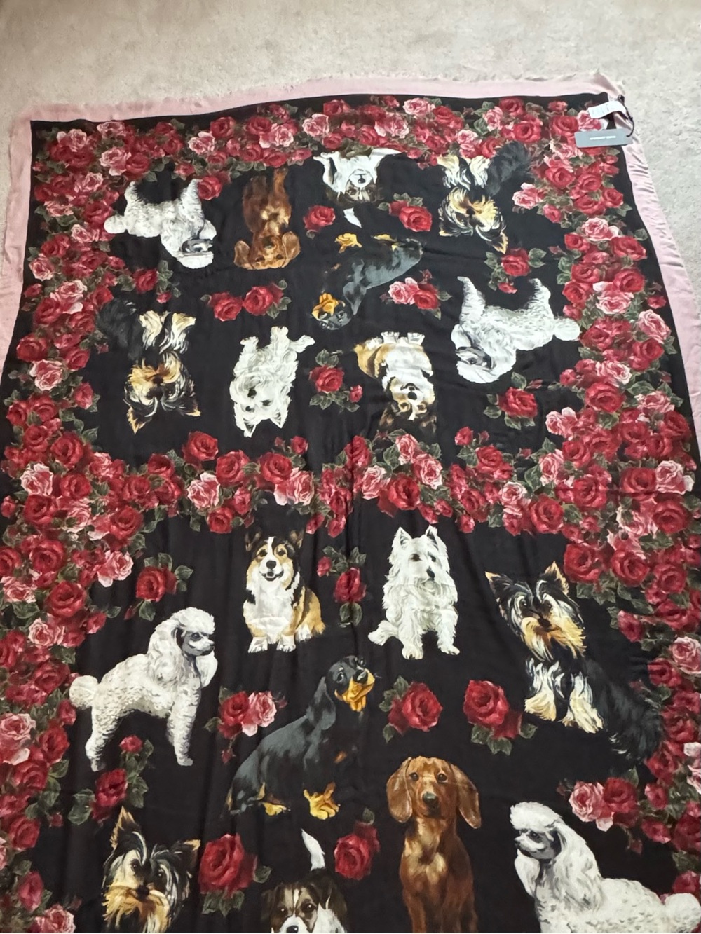 Dolce & Gabbana scarf with Red Rose and Dog Motif. Size 72x51.Gift with purchase